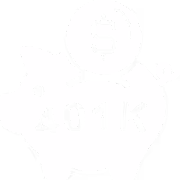 401K-icon
